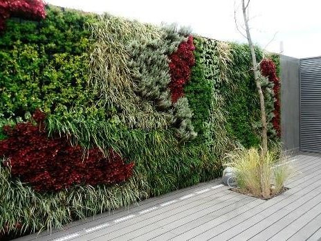 Muro verde con plantas de distintos colores y texturas